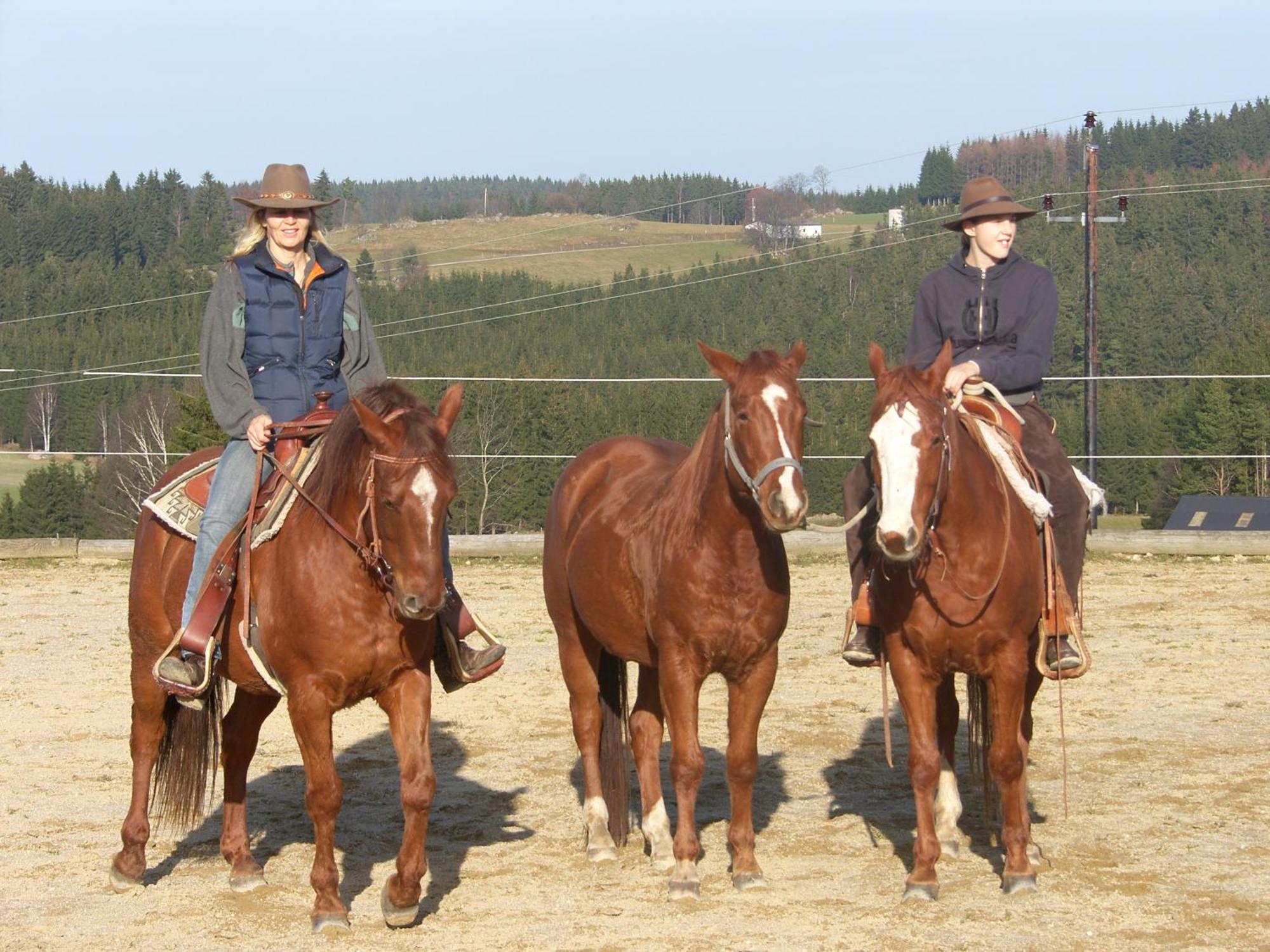 Espi-Stables Ferienhof Esterhammer Либенау Экстерьер фото