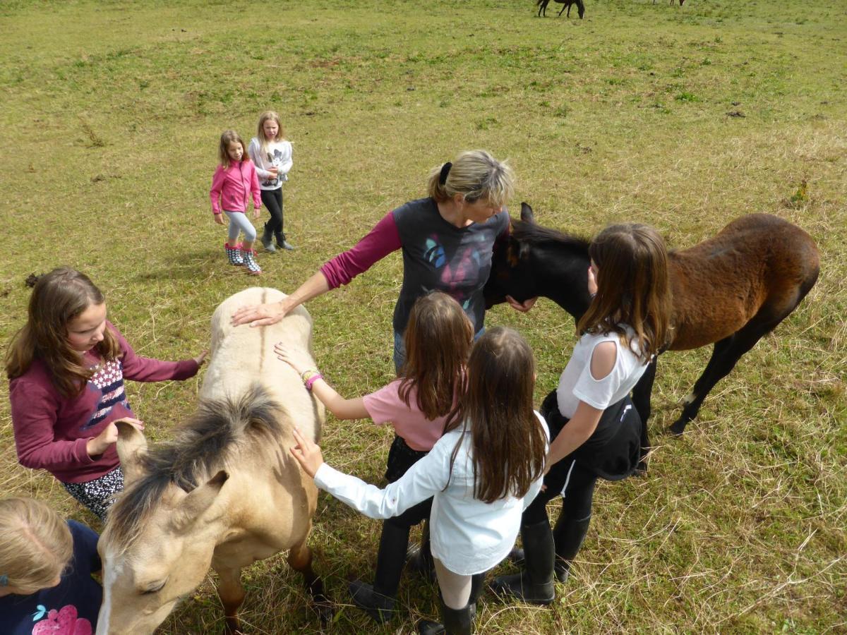 Espi-Stables Ferienhof Esterhammer Либенау Экстерьер фото